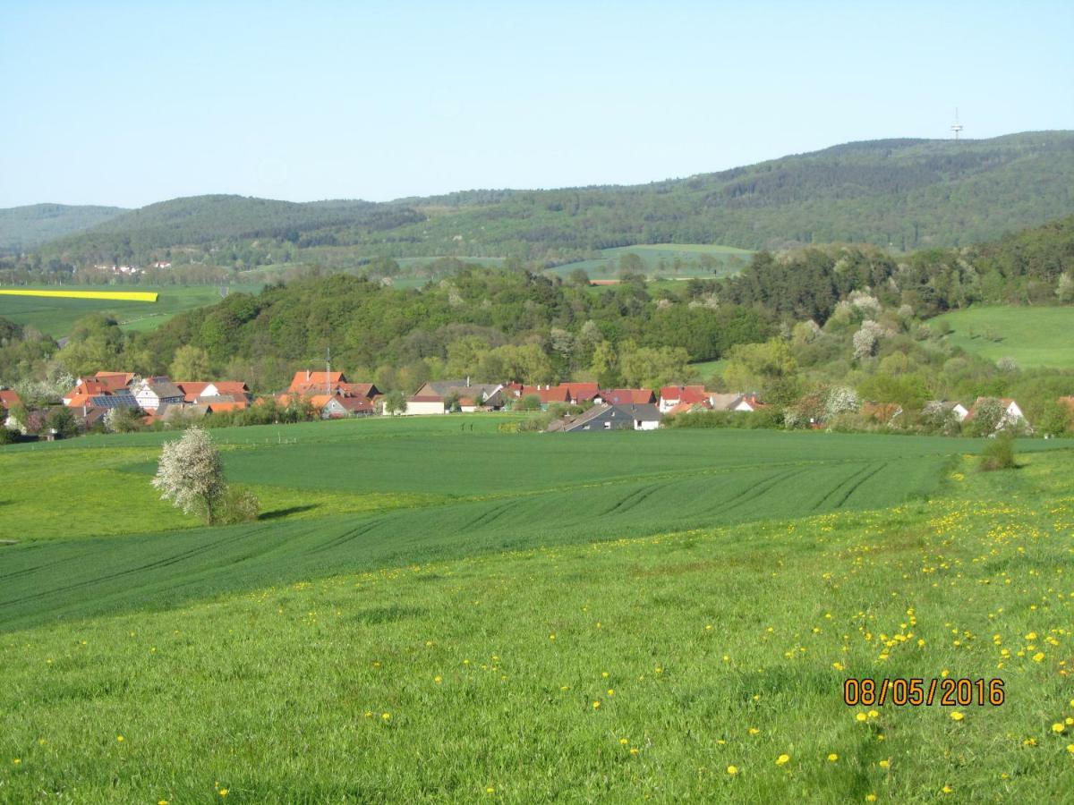 Ferienwohnung Fackiner Gemunden an der Wohra Exteriör bild